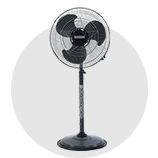 Pedestal Fan