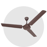 Ceiling Fan
